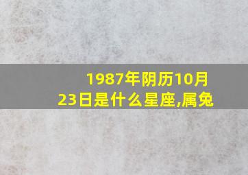 1987年阴历10月23日是什么星座,属兔