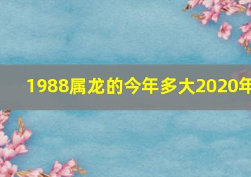 1988属龙的今年多大2020年