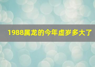 1988属龙的今年虚岁多大了