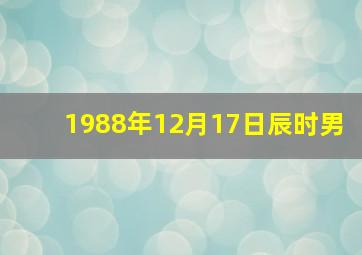 1988年12月17日辰时男