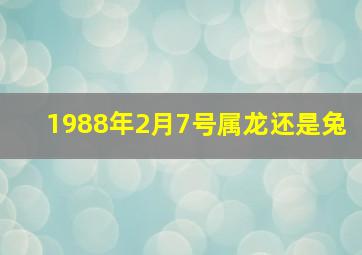 1988年2月7号属龙还是兔