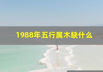 1988年五行属木缺什么