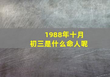 1988年十月初三是什么命人呢