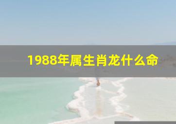 1988年属生肖龙什么命