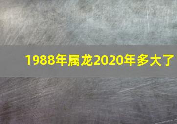 1988年属龙2020年多大了