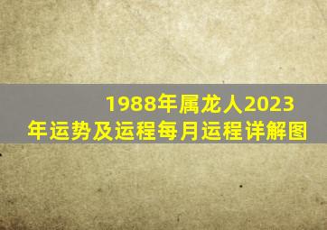 1988年属龙人2023年运势及运程每月运程详解图