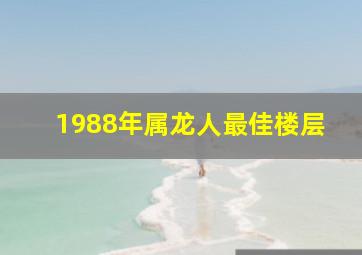 1988年属龙人最佳楼层