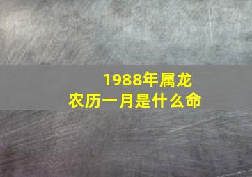 1988年属龙农历一月是什么命