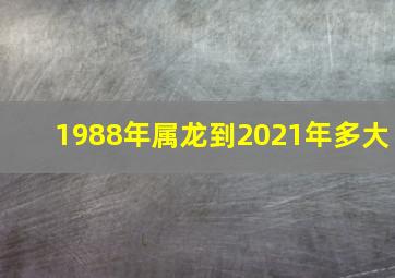 1988年属龙到2021年多大