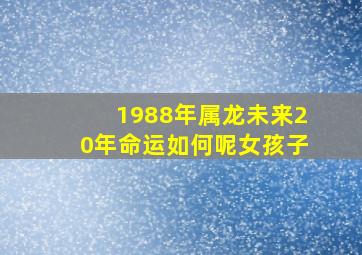 1988年属龙未来20年命运如何呢女孩子