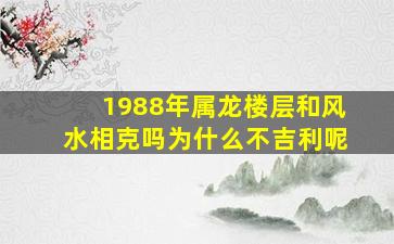 1988年属龙楼层和风水相克吗为什么不吉利呢