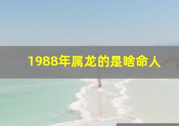 1988年属龙的是啥命人