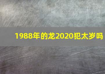 1988年的龙2020犯太岁吗