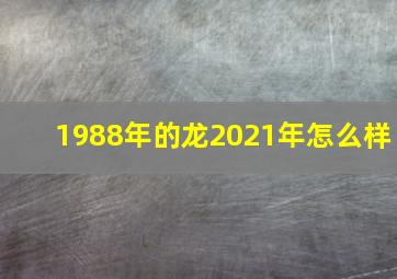 1988年的龙2021年怎么样