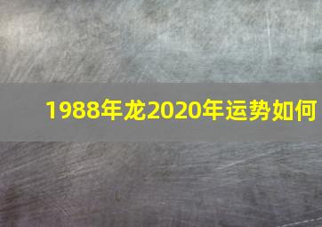 1988年龙2020年运势如何