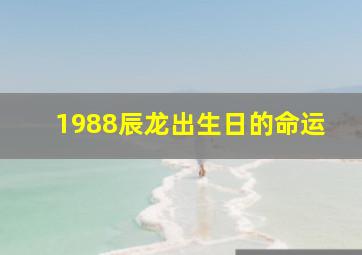 1988辰龙出生日的命运