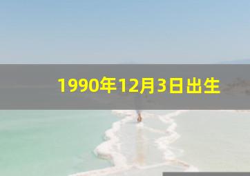 1990年12月3日出生