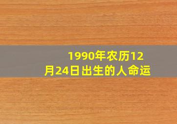 1990年农历12月24日出生的人命运