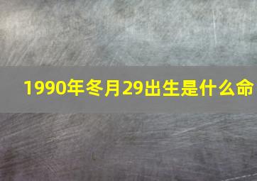 1990年冬月29出生是什么命