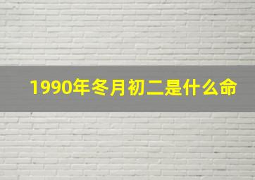 1990年冬月初二是什么命