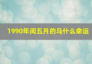 1990年闰五月的马什么命运