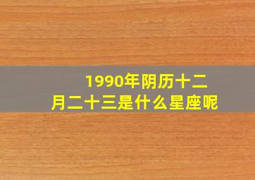 1990年阴历十二月二十三是什么星座呢