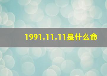 1991.11.11是什么命