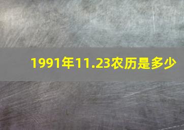 1991年11.23农历是多少