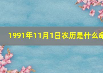 1991年11月1日农历是什么命