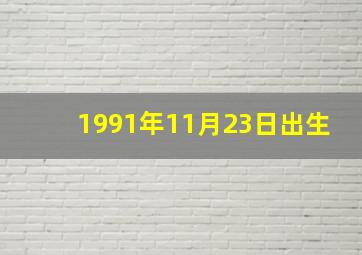 1991年11月23日出生