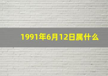 1991年6月12日属什么