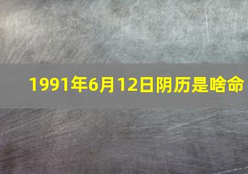 1991年6月12日阴历是啥命