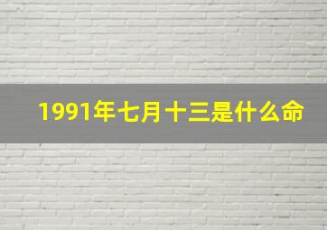 1991年七月十三是什么命