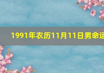 1991年农历11月11日男命运