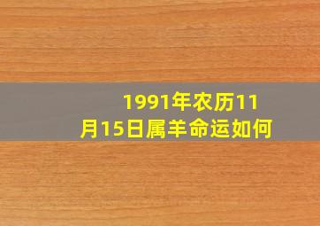 1991年农历11月15日属羊命运如何