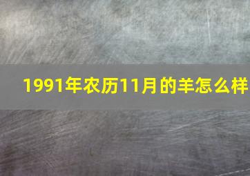 1991年农历11月的羊怎么样