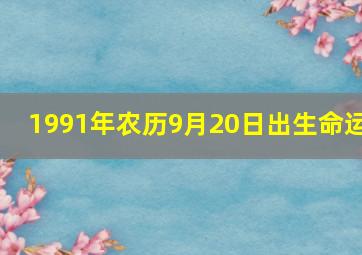 1991年农历9月20日出生命运