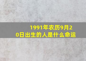 1991年农历9月20日出生的人是什么命运