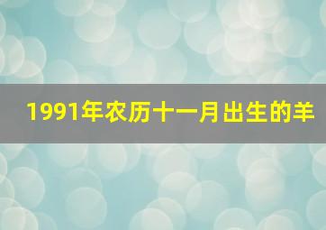 1991年农历十一月出生的羊