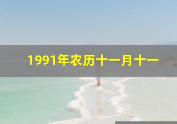 1991年农历十一月十一