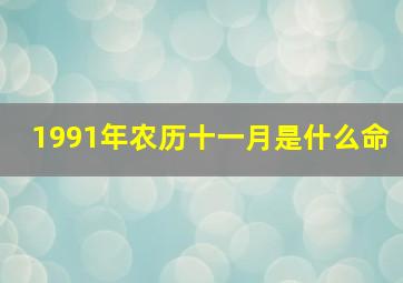 1991年农历十一月是什么命