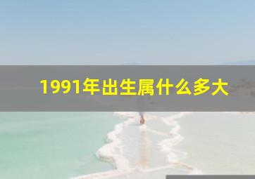 1991年出生属什么多大