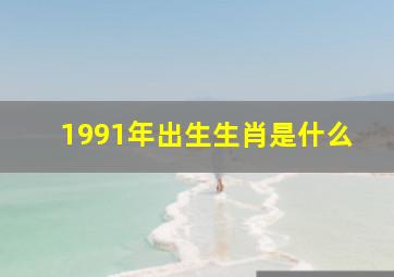 1991年出生生肖是什么