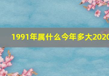 1991年属什么今年多大2020