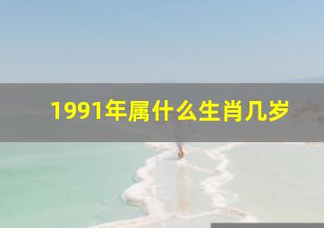 1991年属什么生肖几岁