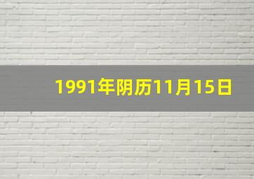 1991年阴历11月15日