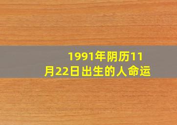 1991年阴历11月22日出生的人命运