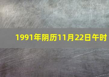 1991年阴历11月22日午时