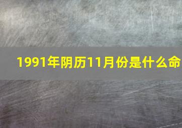 1991年阴历11月份是什么命