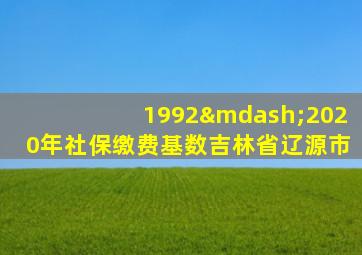 1992—2020年社保缴费基数吉林省辽源市